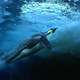 Illustration for article titled Penguins Rocket Away from Danger Aboard Supercavitating Bubble Jets
